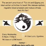 Tai-chi and qigong poster in english